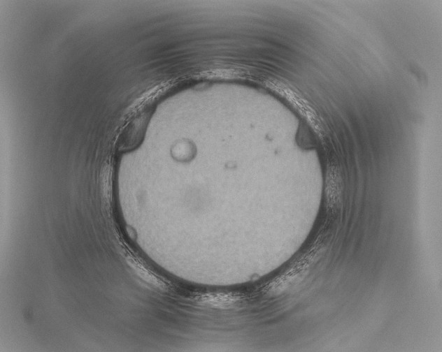 X0000115440445200912020948