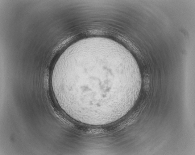 X0000115440446200912020948