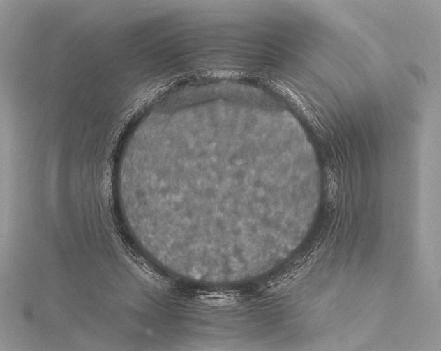 X0000115440447200912020948