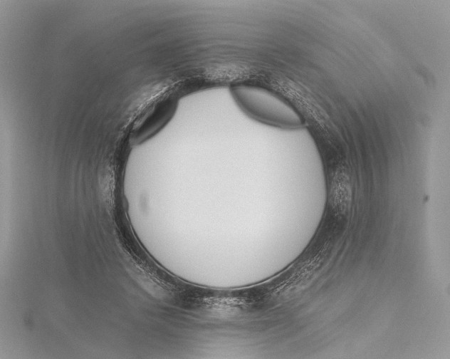 X0000115440448200912020948