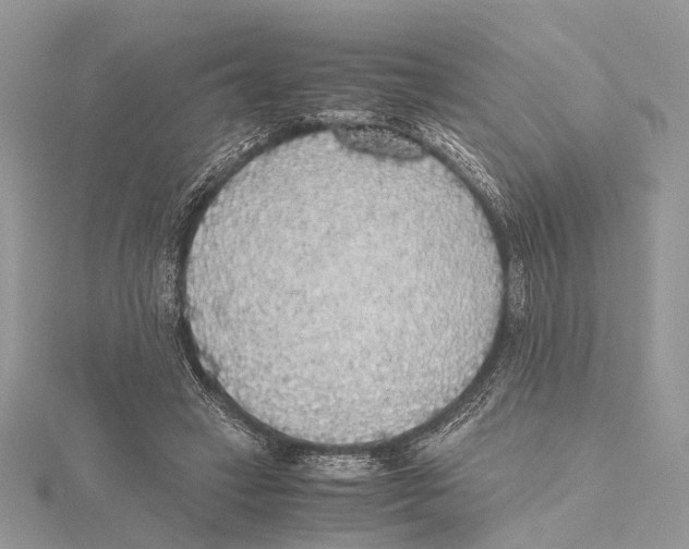 X0000115440449200912020948