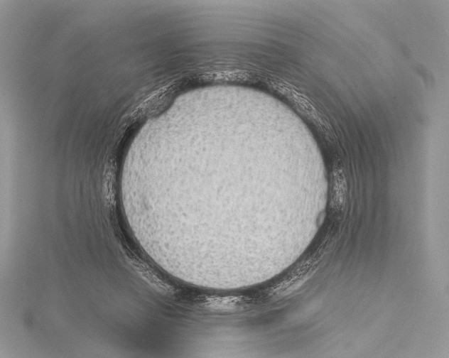 X0000115440450200912020948