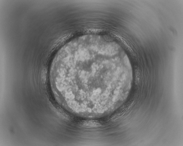 X0000115440451200912020948