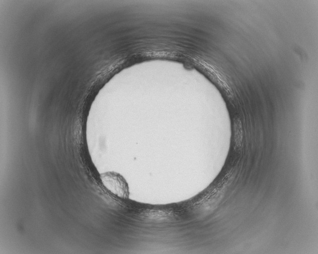 X0000115440453200912020948