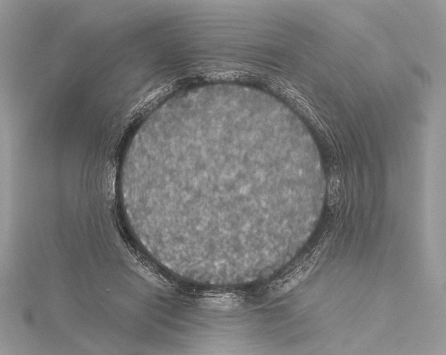 X0000115440454200912020948