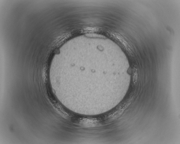 X0000115440455200912020948