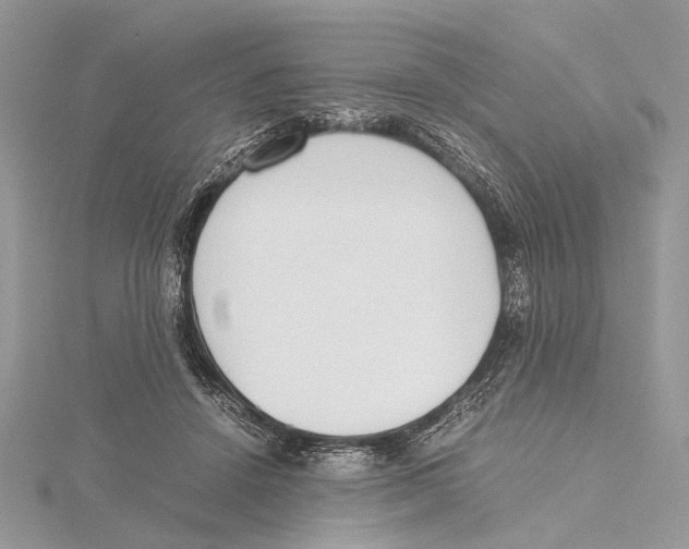 X0000115440456200912020948