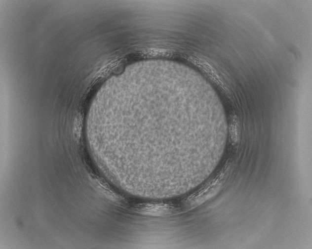 X0000115440458200912020948