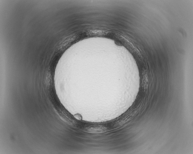 X0000115440459200912020948