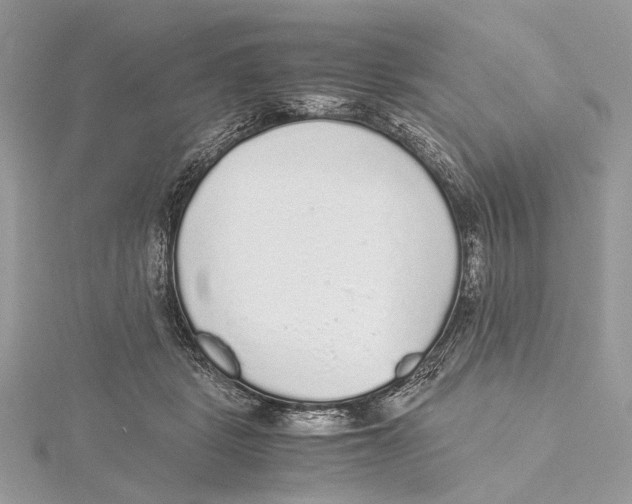 X0000115440461200912020948