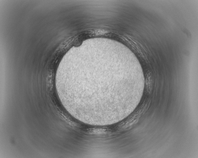 X0000115440462200912020948