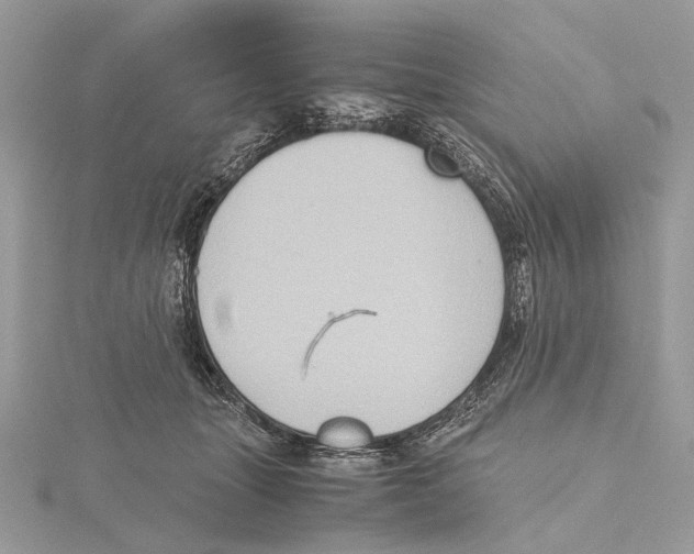 X0000115440463200912020948