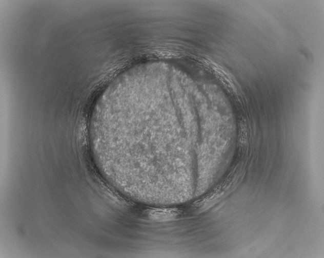 X0000115440465200912020948