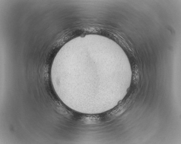 X0000115440466200912020948