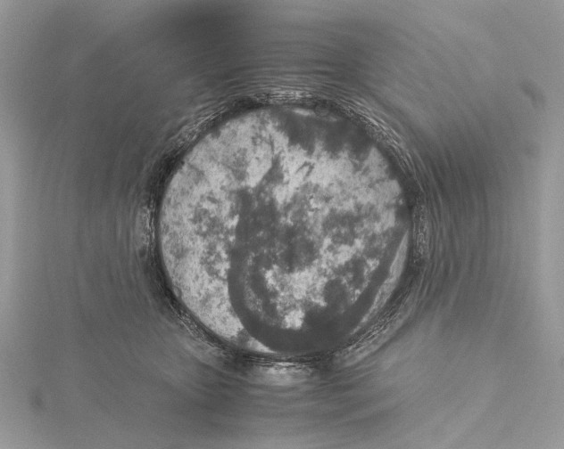 X0000115440467200912020948