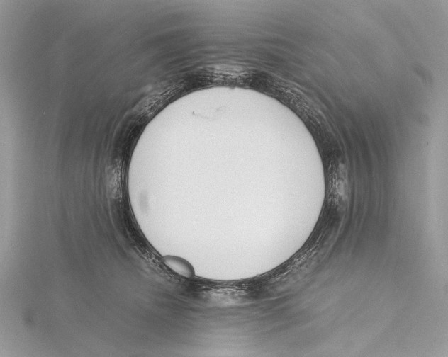 X0000115440468200912020948