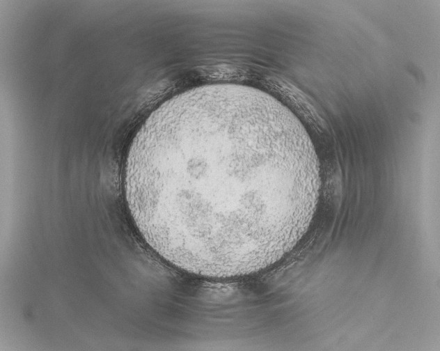 X0000115440469200912020948