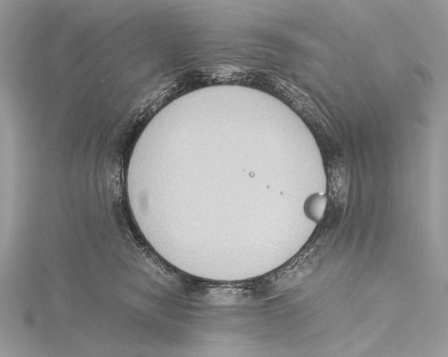 X0000115440470200912020948