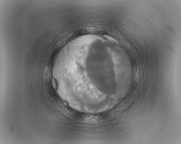 X0000115440471200912020948