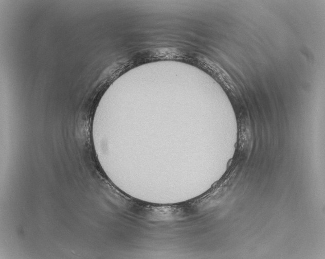 X0000115440473200912020948