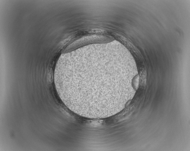 X0000115440474200912020949