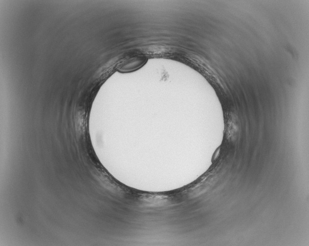 X0000115440476200912020949