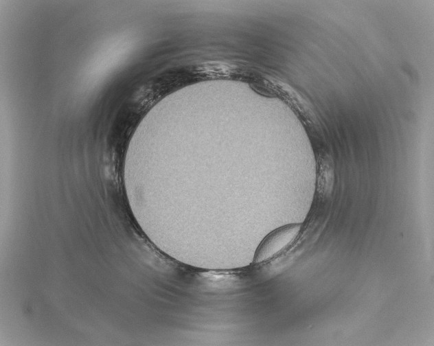 X0000115440477200912020949