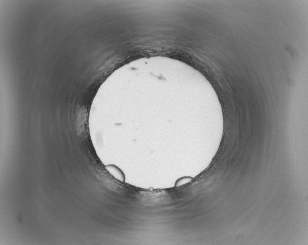 X0000115440480200912020949