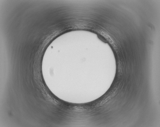 X0000115440481200912020948