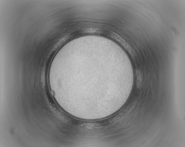 X0000115440482200912020948