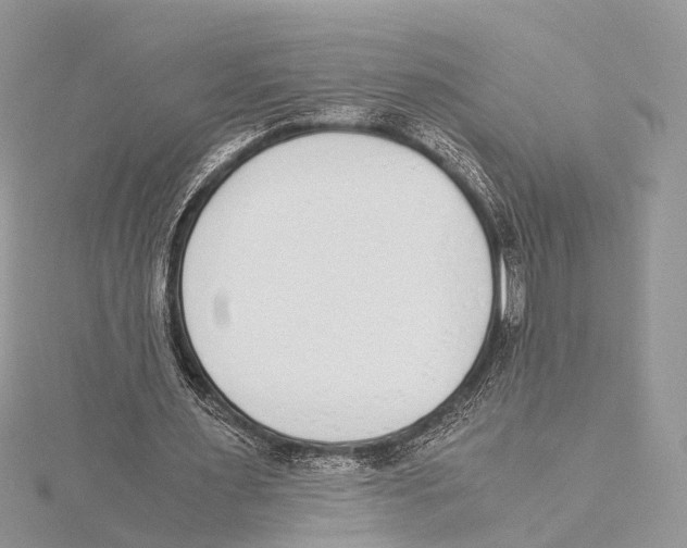 X0000115440483200912020948