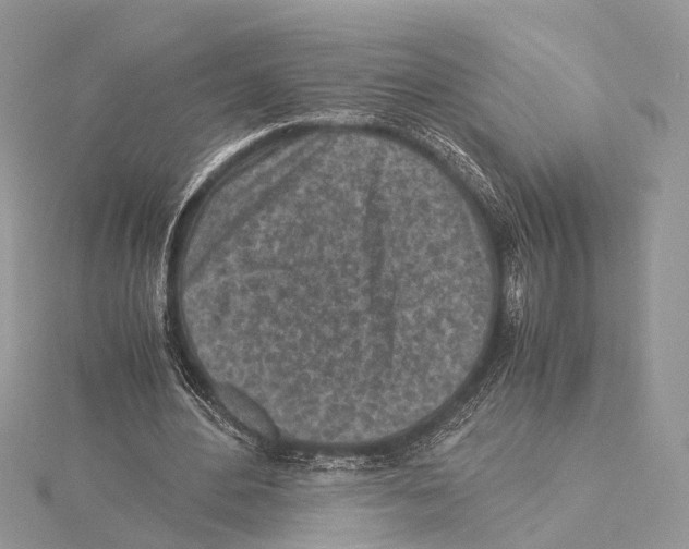 X0000115440484200912020948