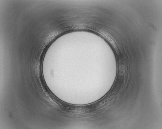 X0000115440485200912020948