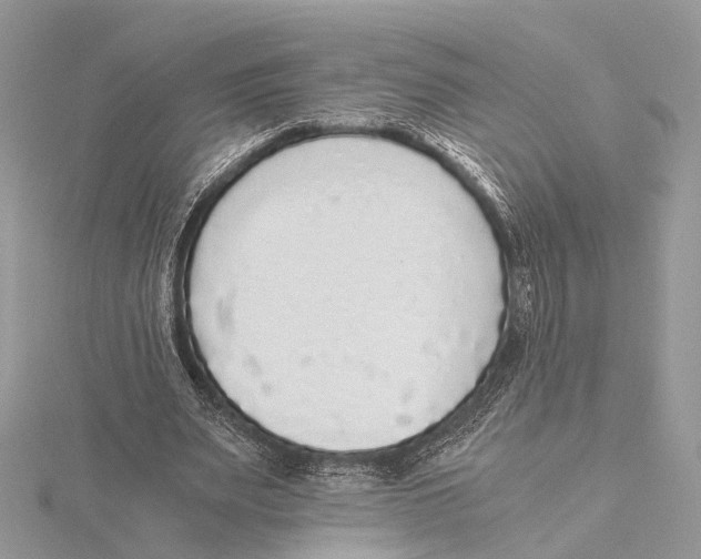 X0000115440487200912020948