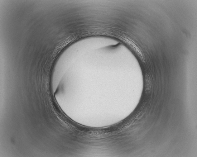 X0000115440489200912020948