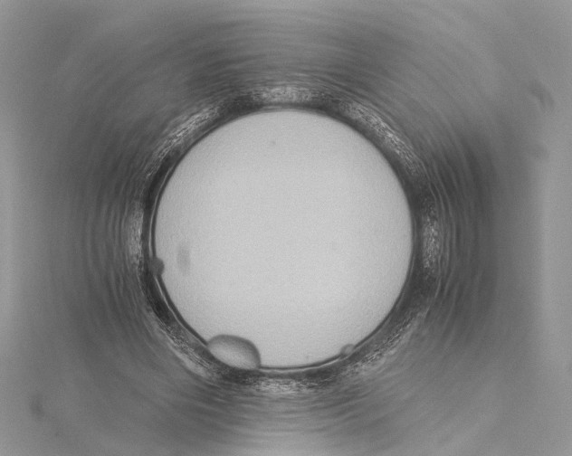 X0000115440490200912020948