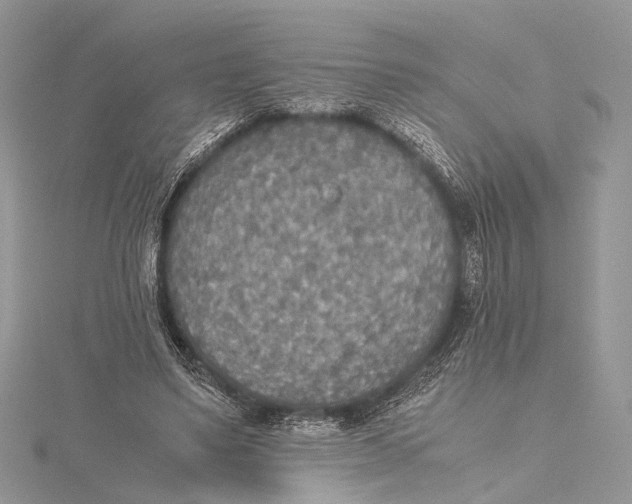 X0000115440491200912020948