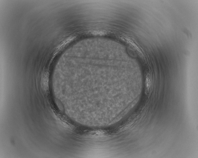 X0000115440492200912020948