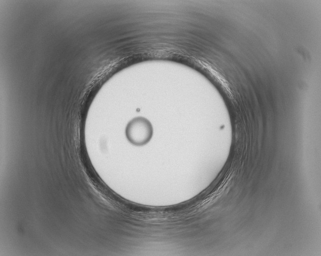 X0000115440493200912020948