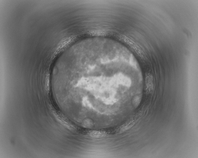 X0000115440494200912020948