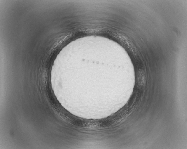 X0000115440495200912020948