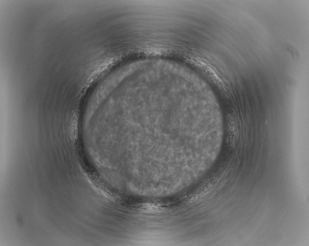 X0000115440496200912020948