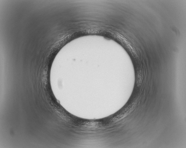 X0000115440497200912020948