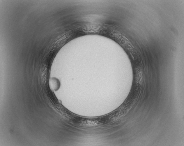 X0000115440498200912020948