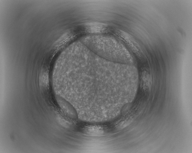 X0000115440500200912020948