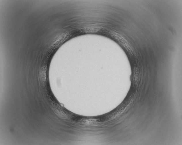 X0000115440501200912020948