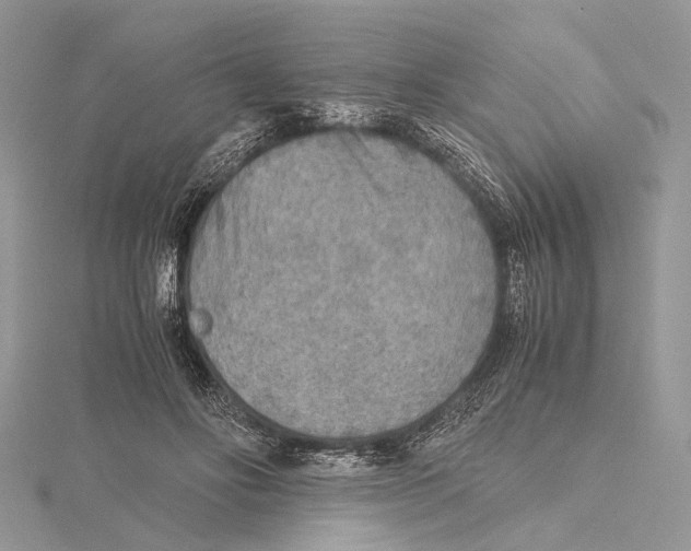 X0000115440502200912020948