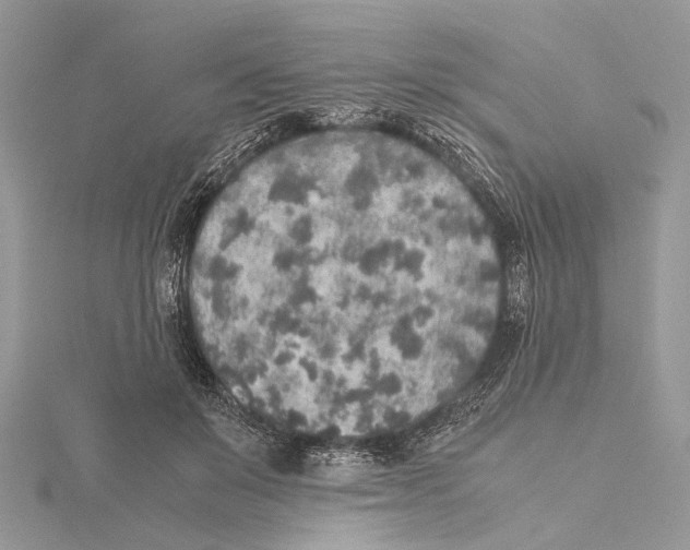 X0000115440503200912020948