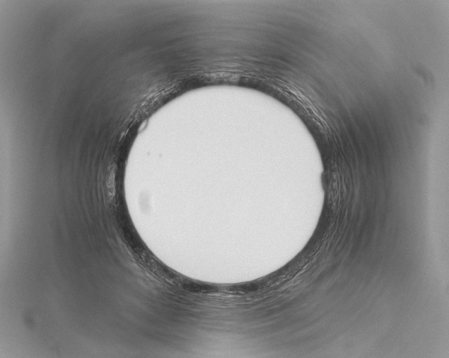 X0000115440504200912020948