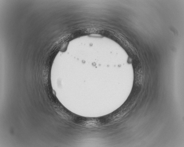 X0000115440505200912020948